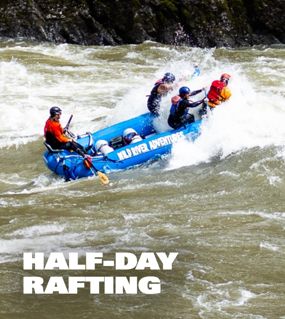 half day
