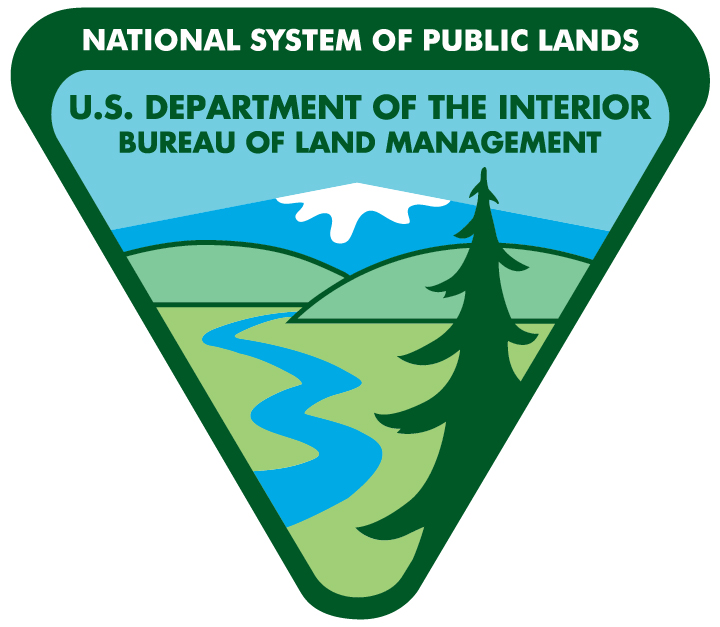 green logo